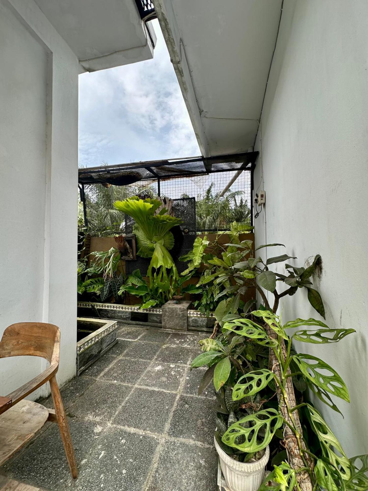 Rumah Kita Canggu Eksteriør billede